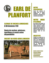 Elevage de vaches Limousines Planfort